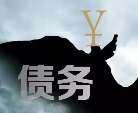 什么是债务优化，滨湖债务优化有什么效果？